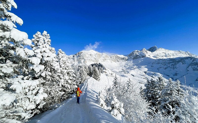 Winterwanderwege EGGBERGE ¦ ©Foto Maggie J.Christen-Zurfluh