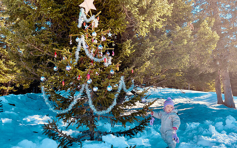 Weihnachtsbaum EGGBERGE ¦ ©Foto Maggie J.Christen-Zurfluh