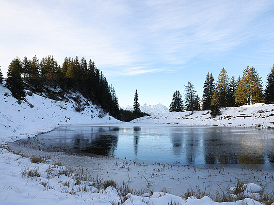 Fleschsee Winter ¦ ©Foto Maggie J.Christen-Zurfluh Fleschsee Winter ¦ ©Foto Maggie J.Christen-Zurfluh