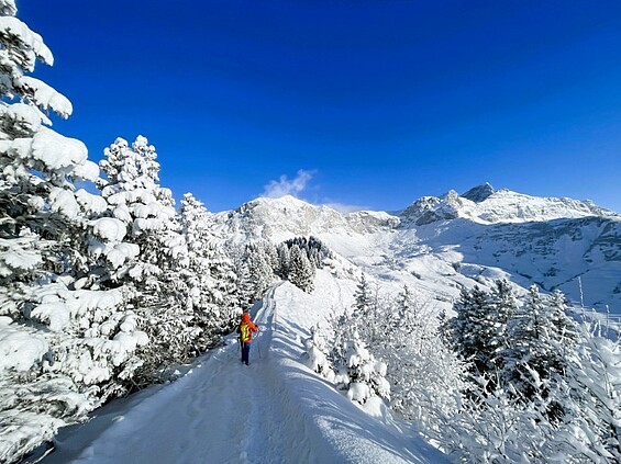 Winterwanderwege EGGBERGE ¦ ©Foto Maggie J.Christen-Zurfluh Winterwanderwege EGGBERGE ¦ ©Foto Maggie J.Christen-Zurfluh