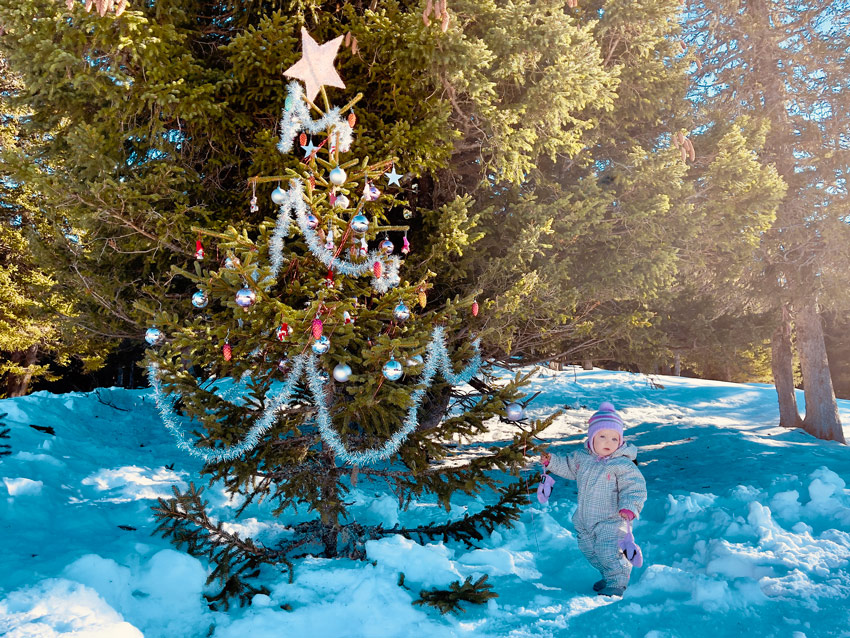 Weihnachtsbaum EGGBERGE ¦ ©Foto Maggie J.Christen-Zurfluh