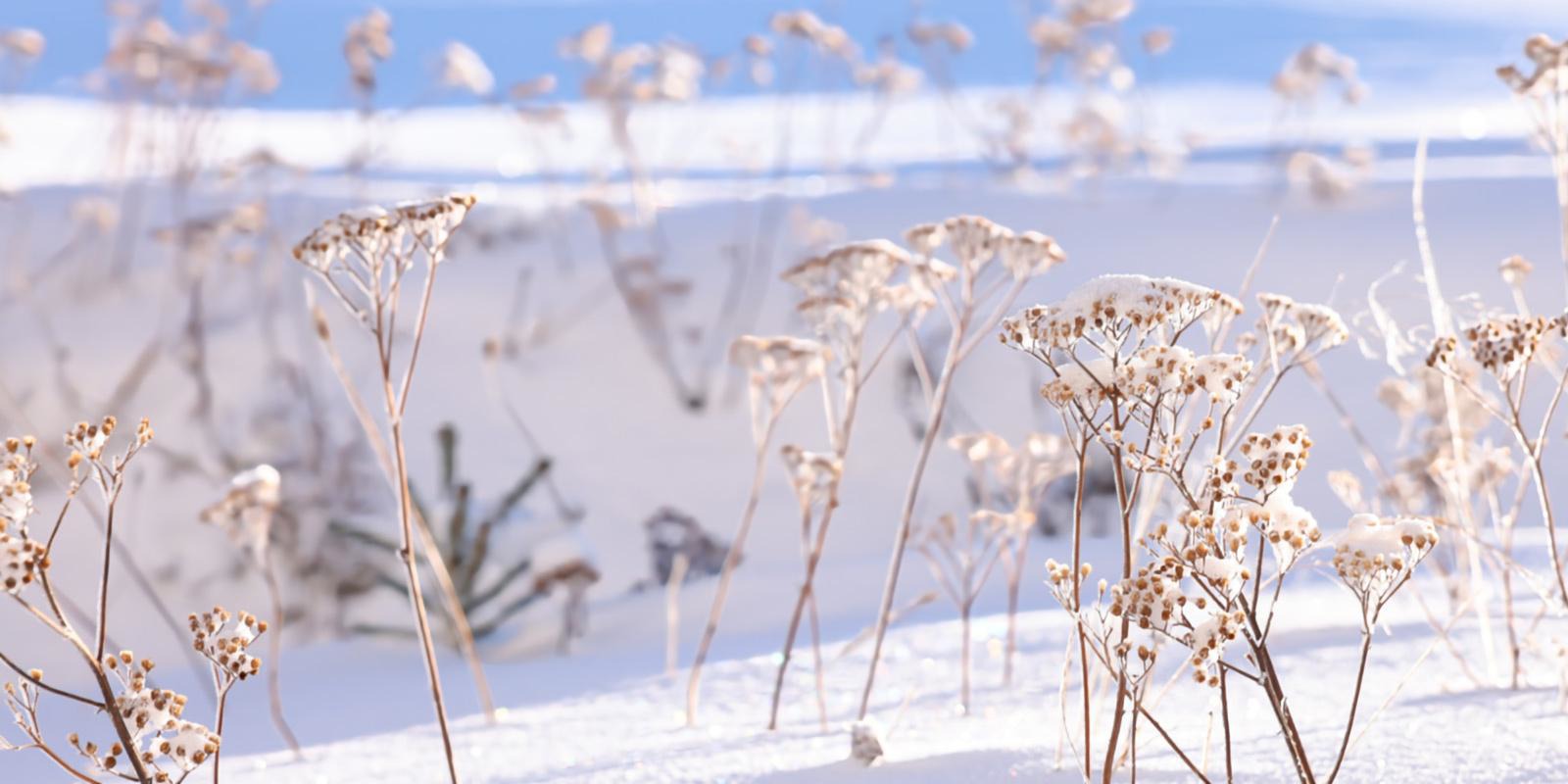 Winter Eggberge ¦ ©Foto Maggie J.Christen-Zurfluh